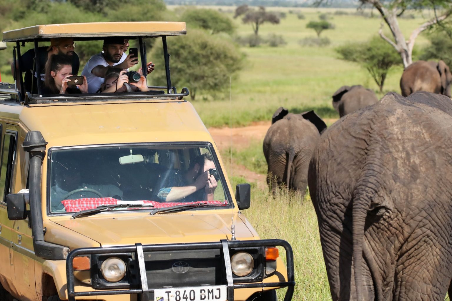 Wildlife Safaris A new travel Experience