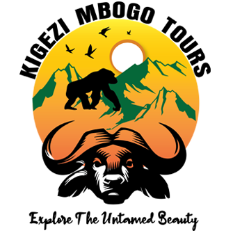 Uganda Gorilla Trekking Adventure